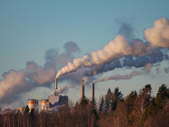 Photo of polluting factories near Swedish forest