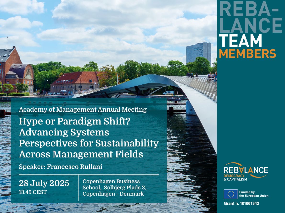 Hype or Paradigm Shift? Advancing Systems Perspectives for Sustainability Across Management Fields